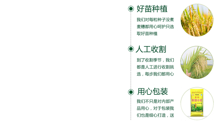 廠家供應